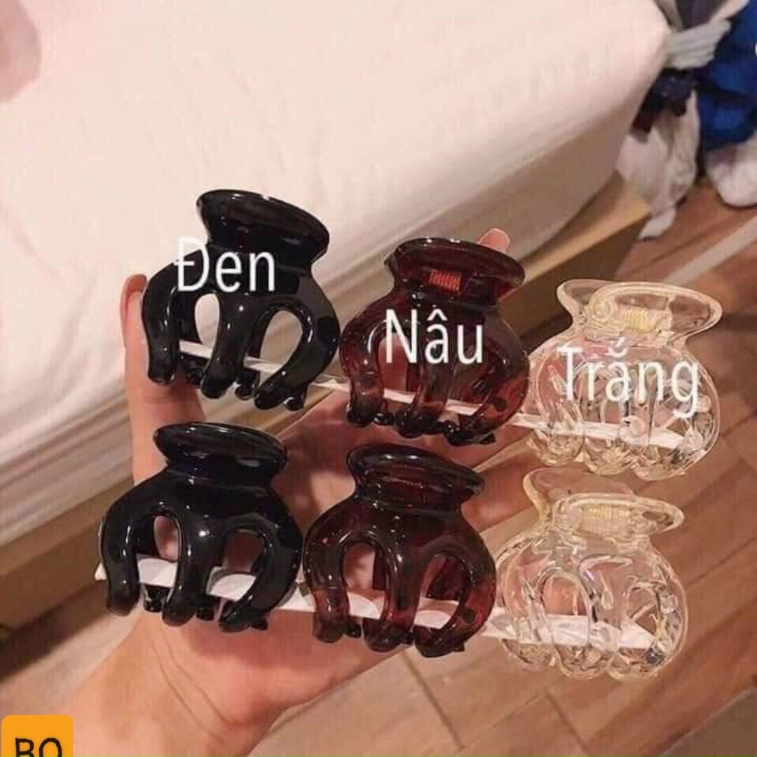 Set 3 kẹp tóc càng cua Thái Lan 🇹🇭