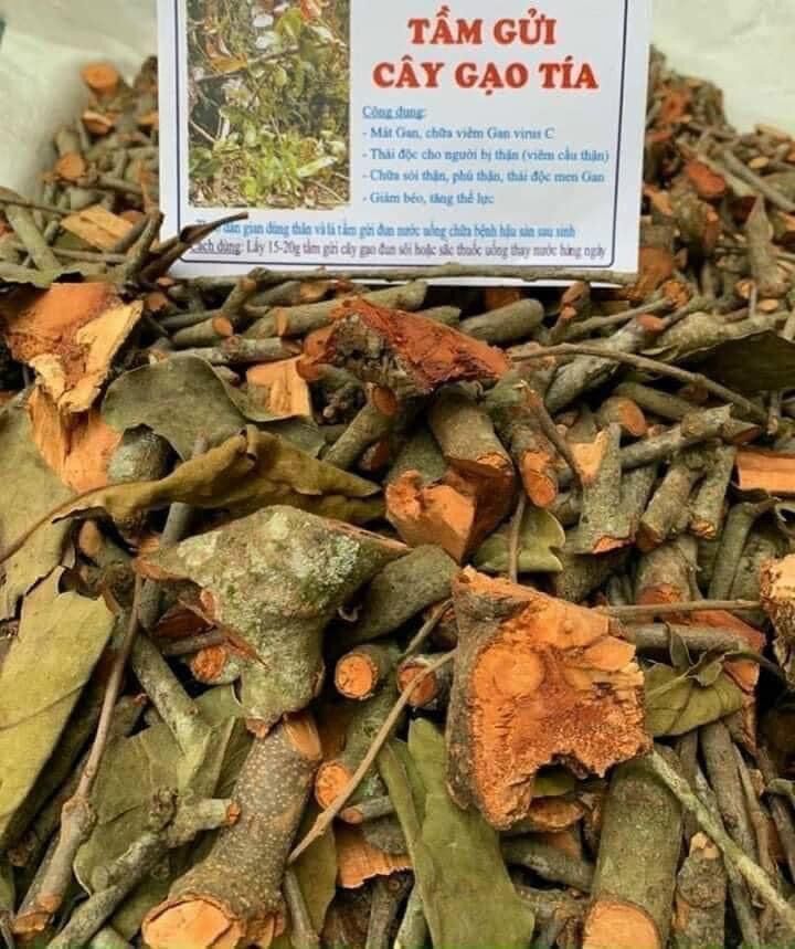 Tầm gửi gạo khô 1kg
