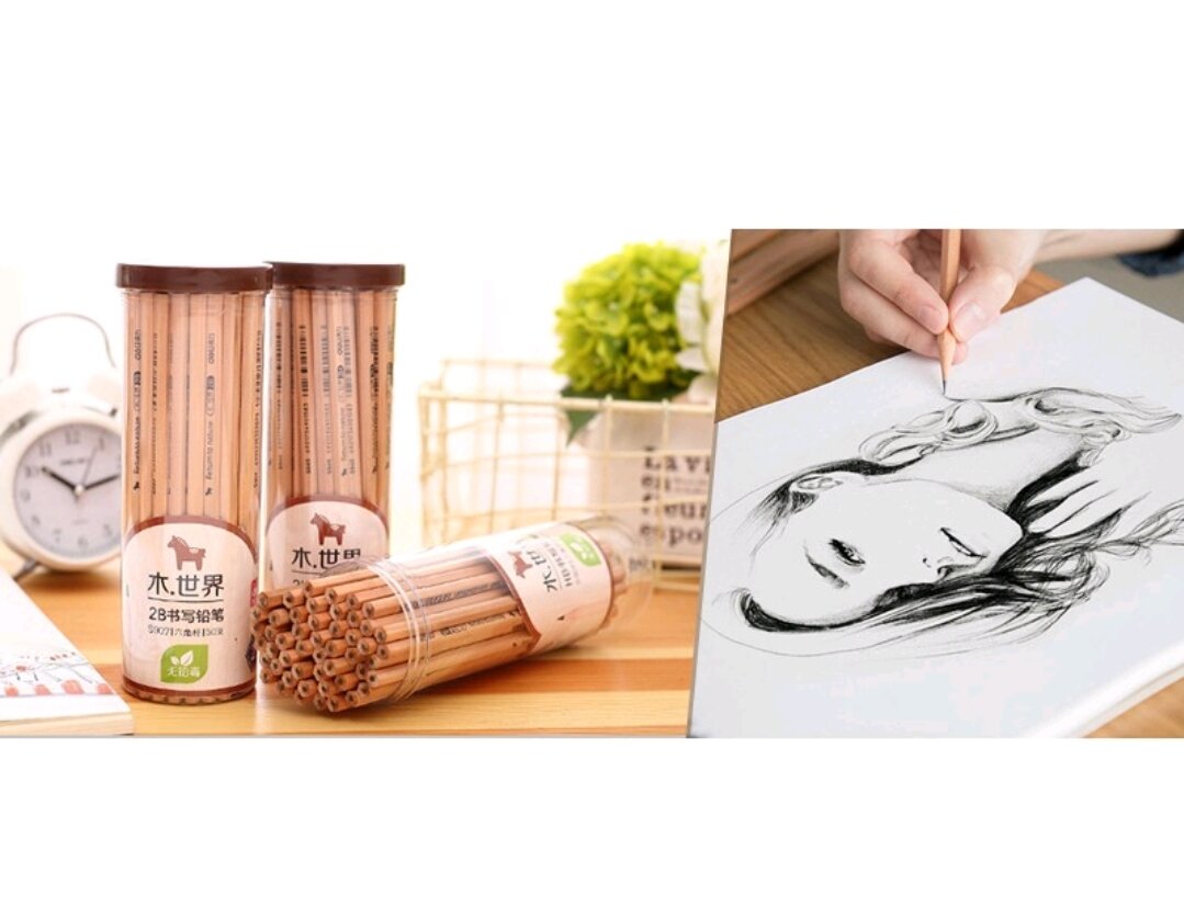 Hộp 50 cây bút chì gỗ hp