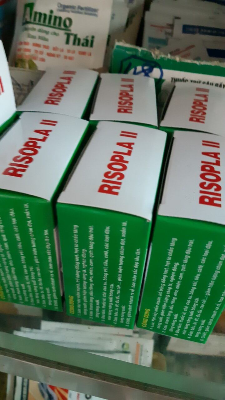 RISOPLA phân bón lá