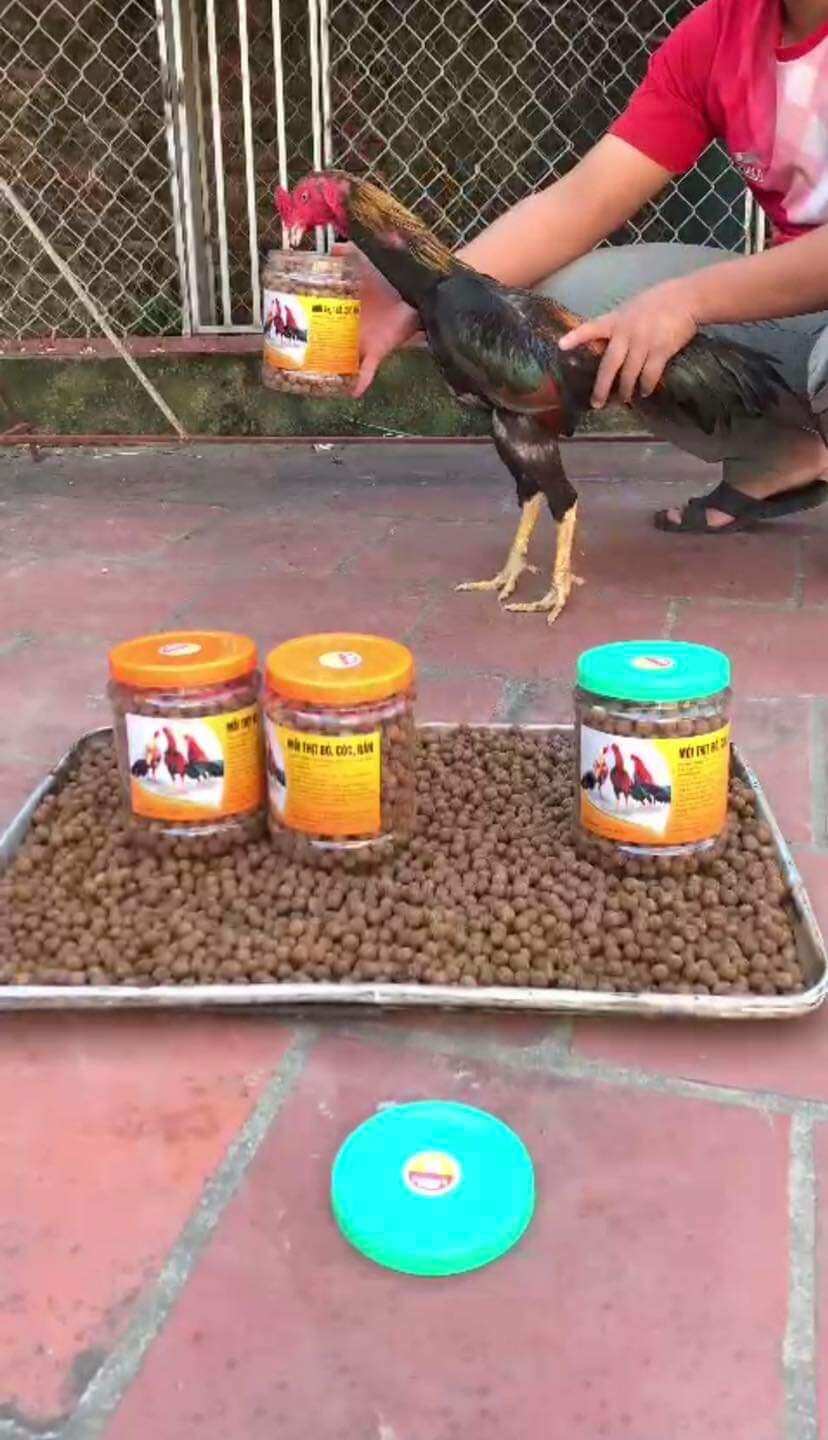 Mồi thit bò cóc rắn dùng cho ga tơ, ga chế đô