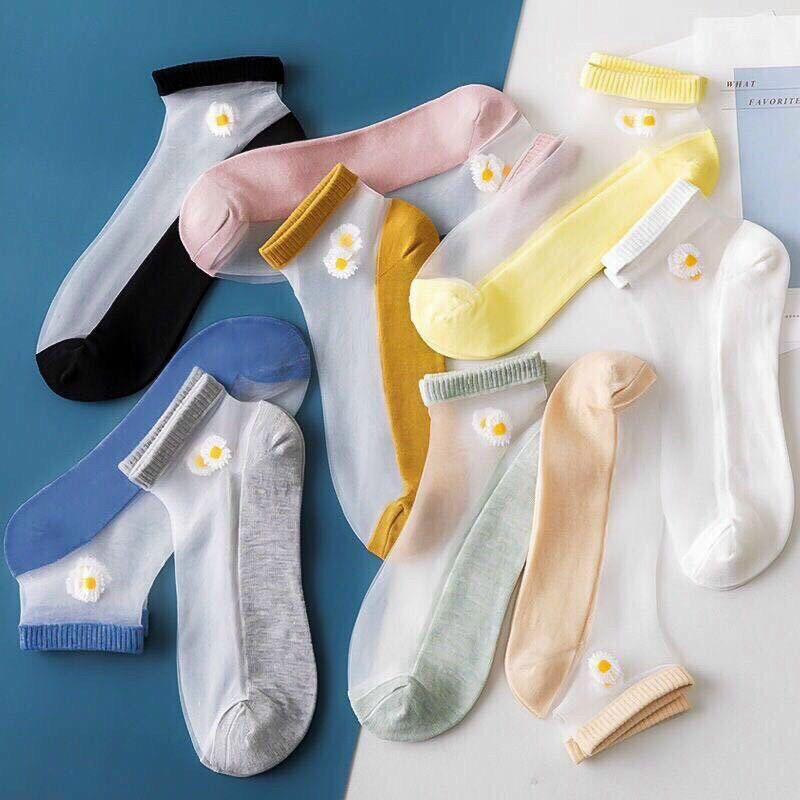 Combo 05 đôi Tất lưới hoa cúc dễ thương