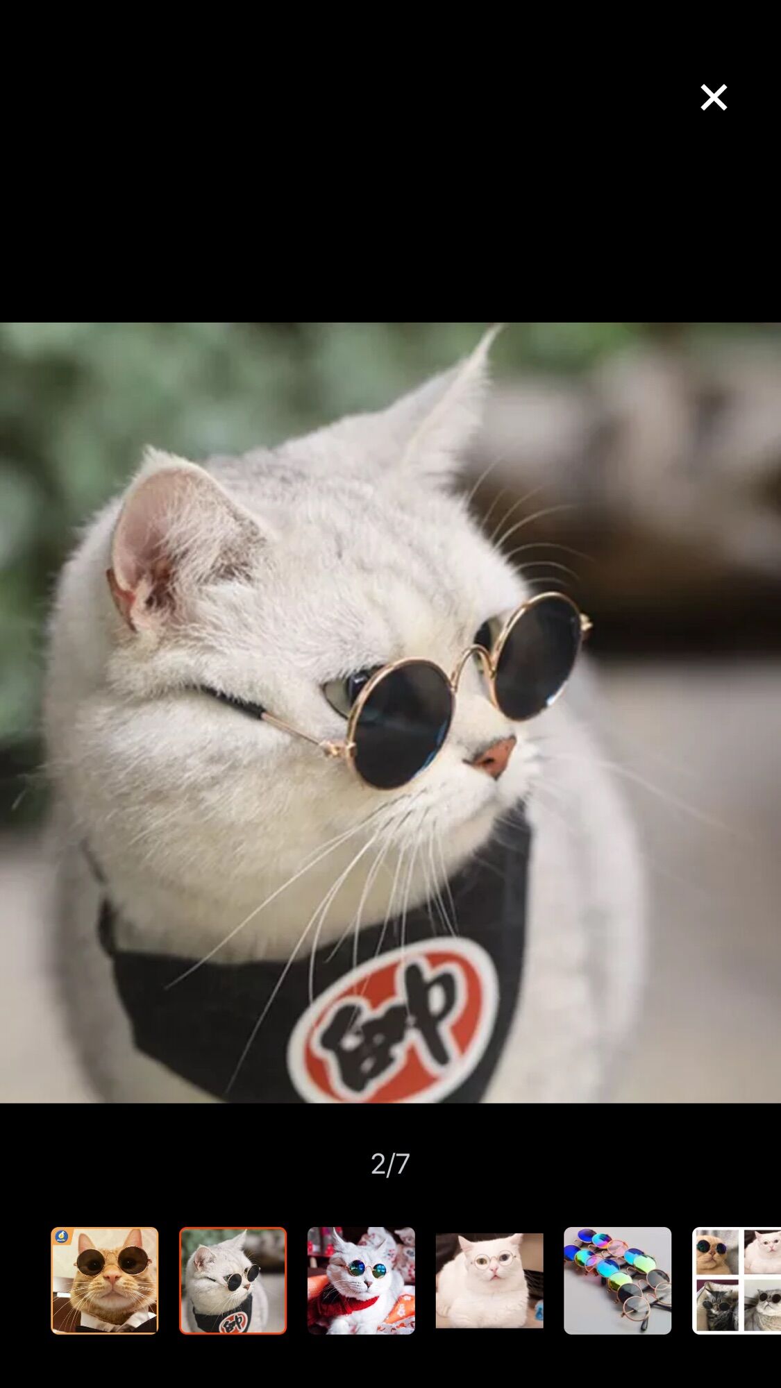 KÍNH MÁT ĐEN CHO CHÓ MÈO