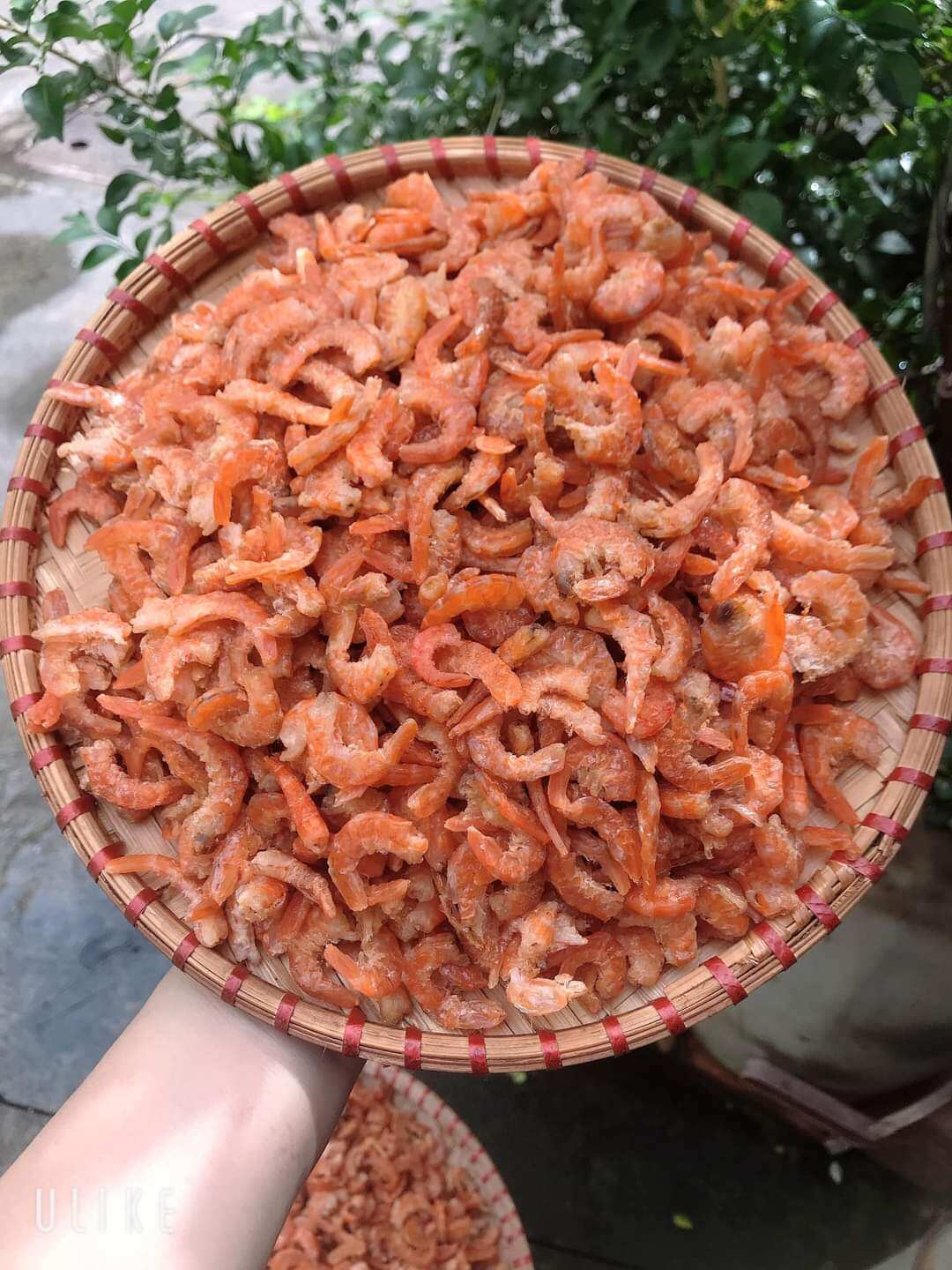 Tôm thẻ khô hàng tươi ngon, chất lượng Khô như hình, khô thoại sơn