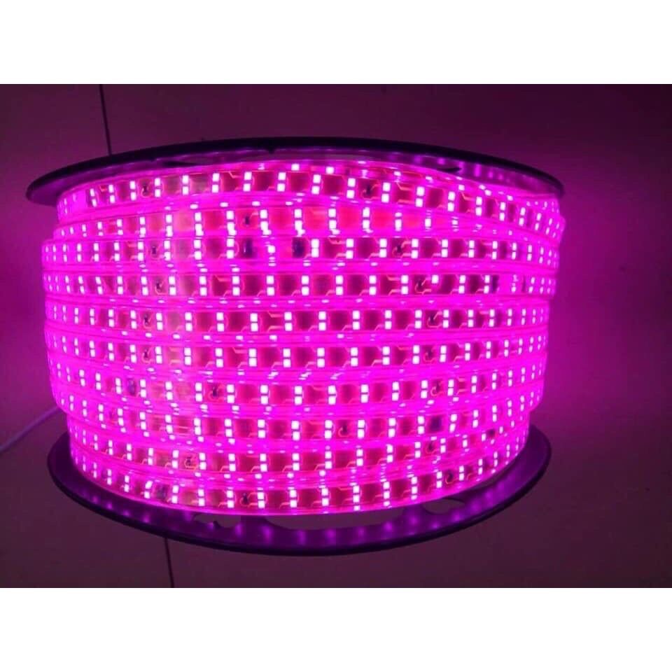 ❄️Đèn nháy cuộn 100m 2835 led đôi (tặng 1 nguồn)