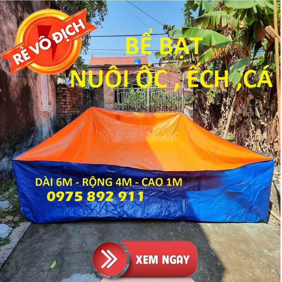 Bể bạt nuôi ốc ếch cá - xanh cam