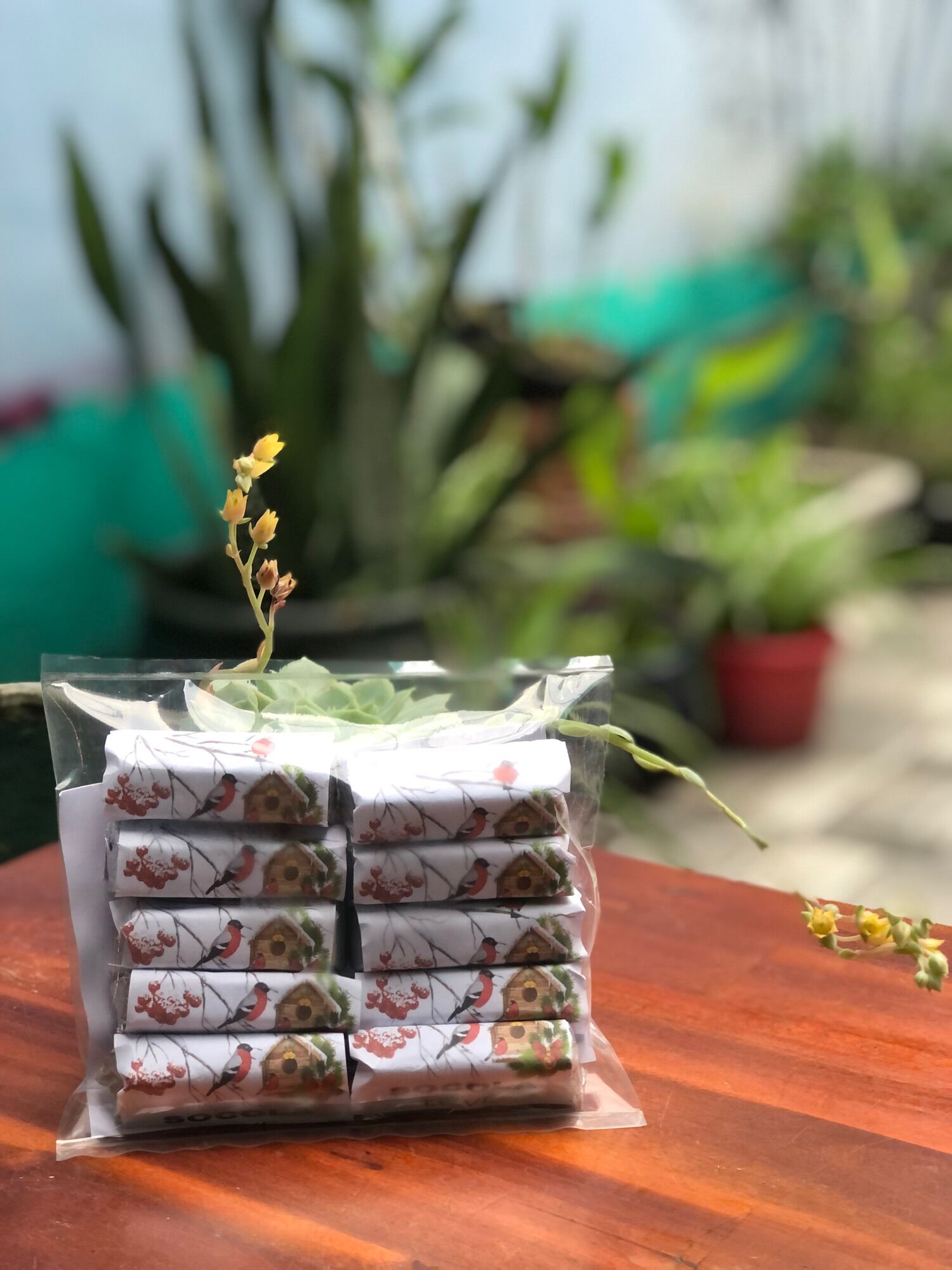 Túi - Sô - Cô - La Trường Thọ  (10 thanh * 20 gram)