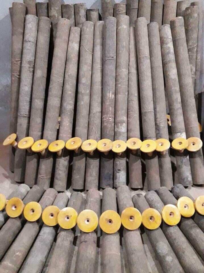 Điếu cày quế yên bái