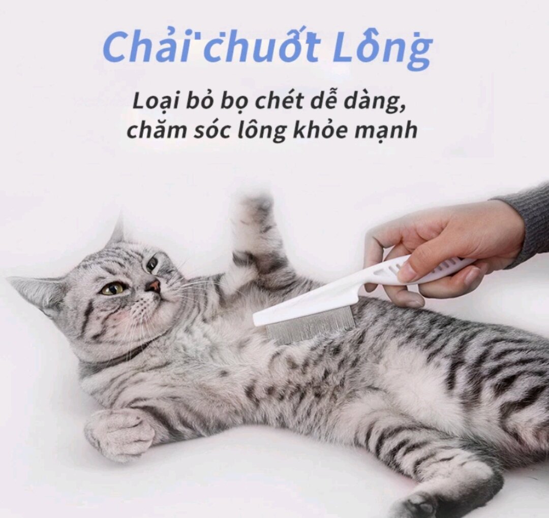 [HCM]LƯỢC CHẢI VE RẬN CHO CHÓ MÈO