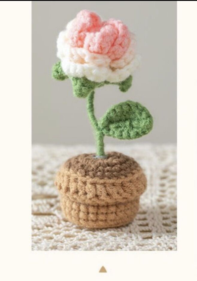 Chậu hoa mini handmade
