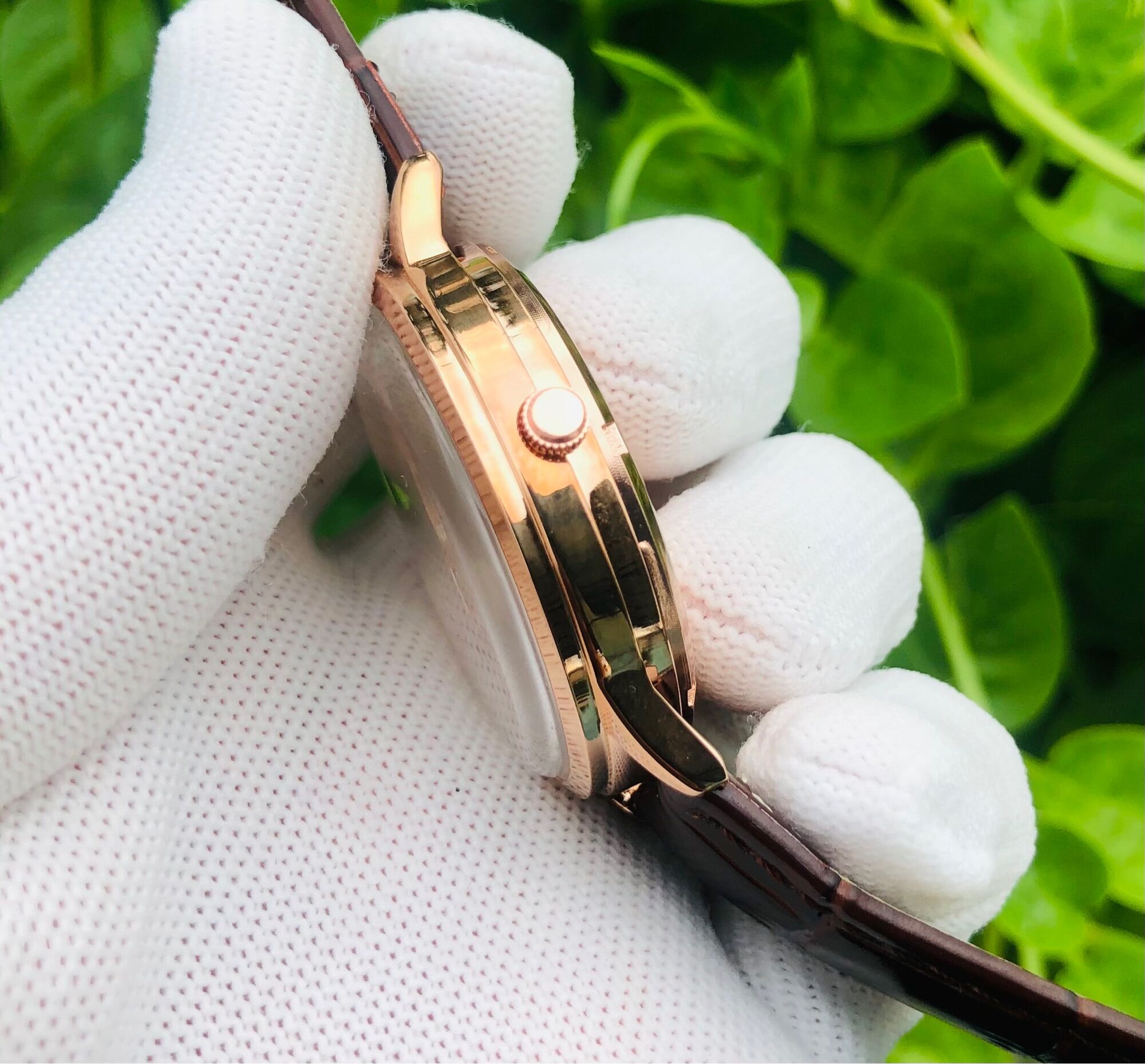 Omega Contelesion
