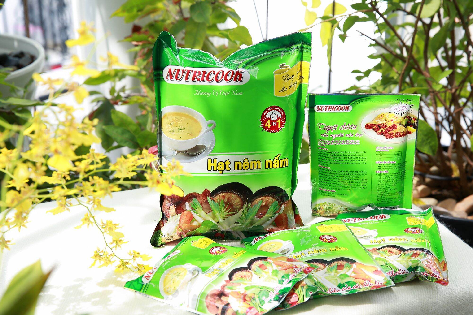 HẠT NIÊM CHAY NẤM BÀO NGƯ TÚI 5KG