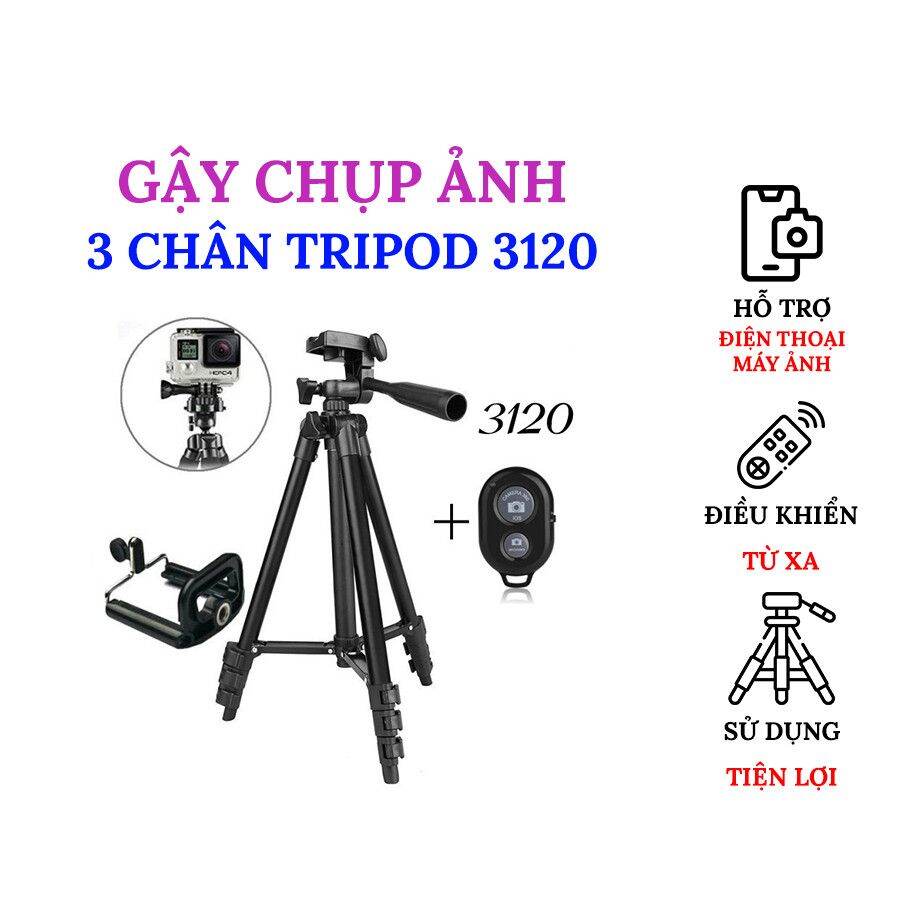 Gậy Livestream Chụp Ảnh Selfie 3 Chân Tripod 3120 - Hàng nhập khẩu siêu rẻ