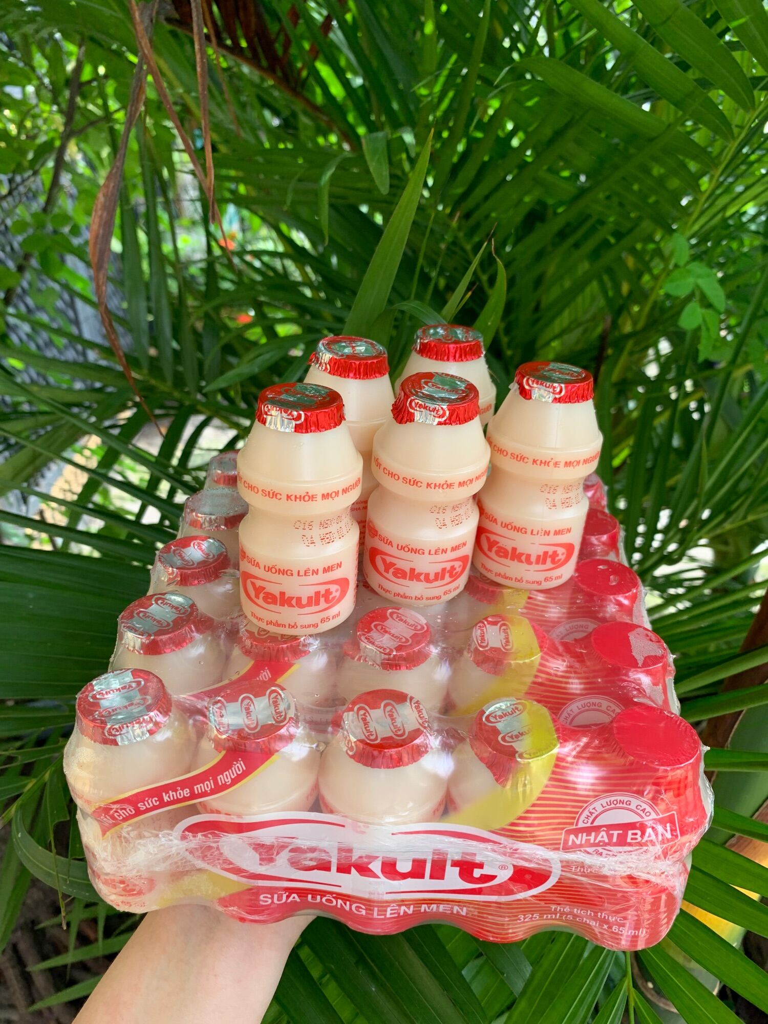 Thùng 50c yakult tăng sức đề kháng mùa dịch