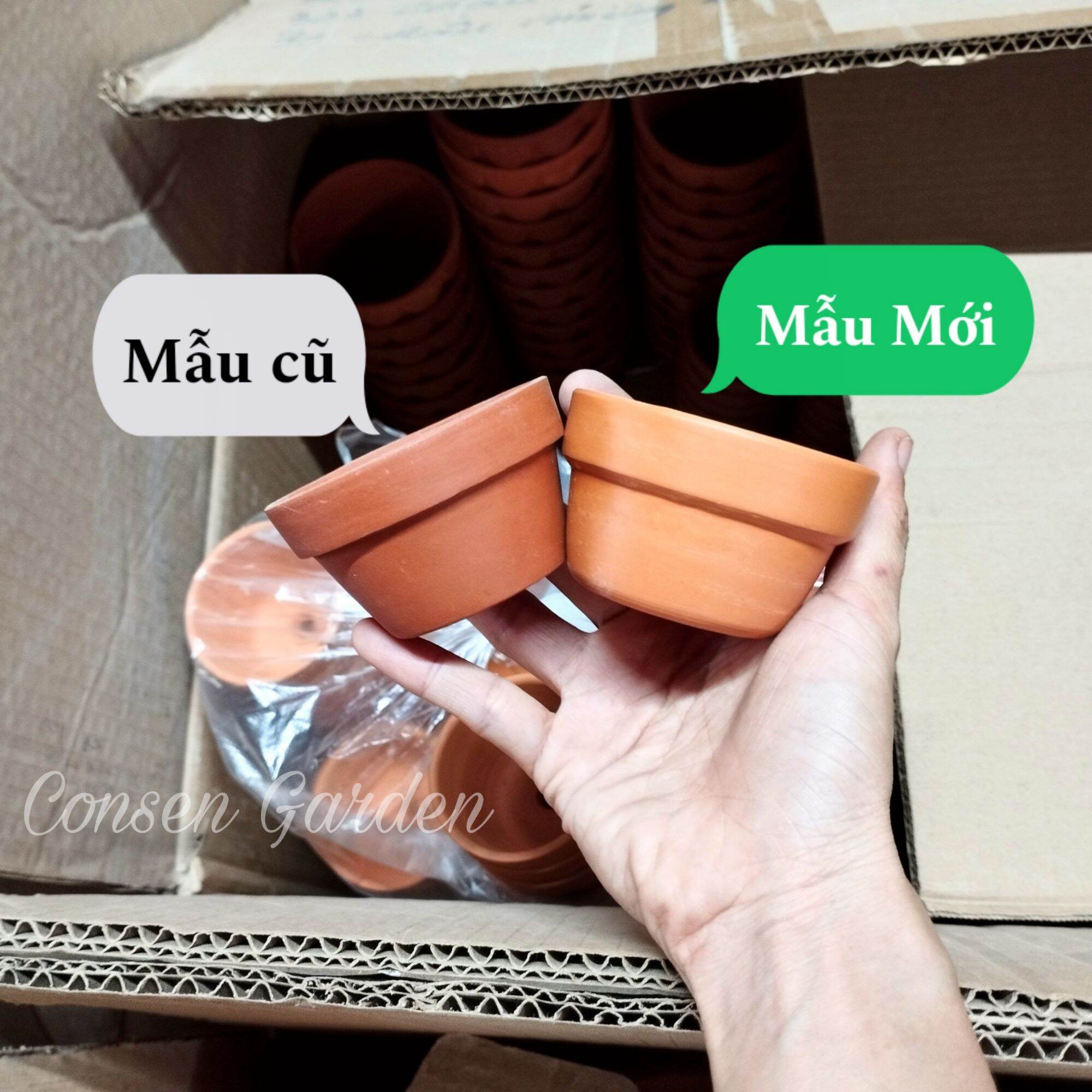 Chậu đất nung trồng sen đá 7x4 cm