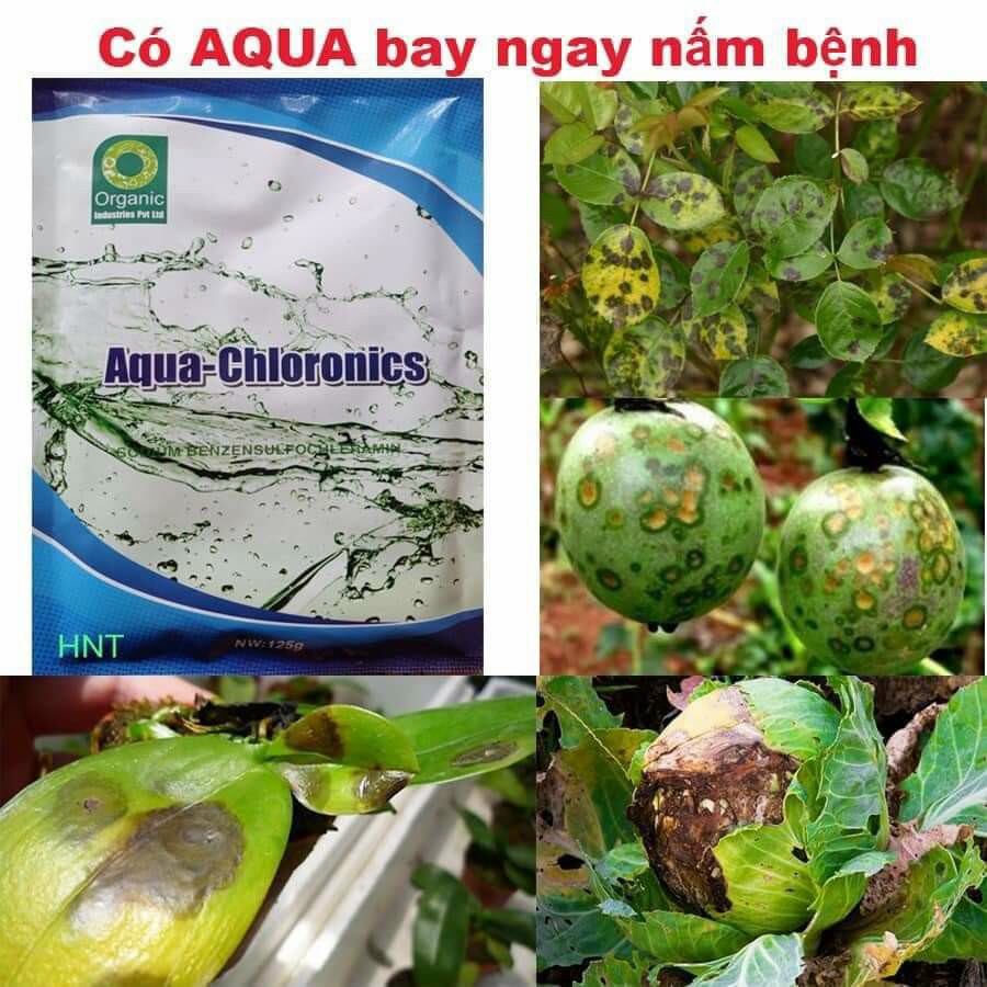 Chế phẩm phòng trừ nấm Aqua 125gam