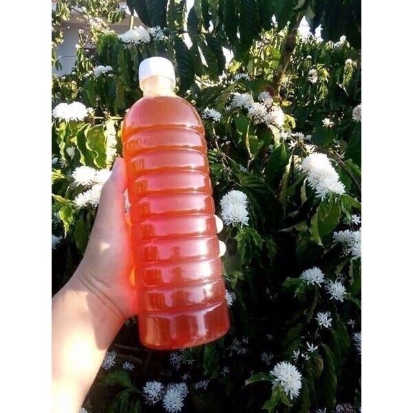 🐝🐝 CHAI 1lit MẬT ONG HOA CÀ PHÊ 🐝🐝
