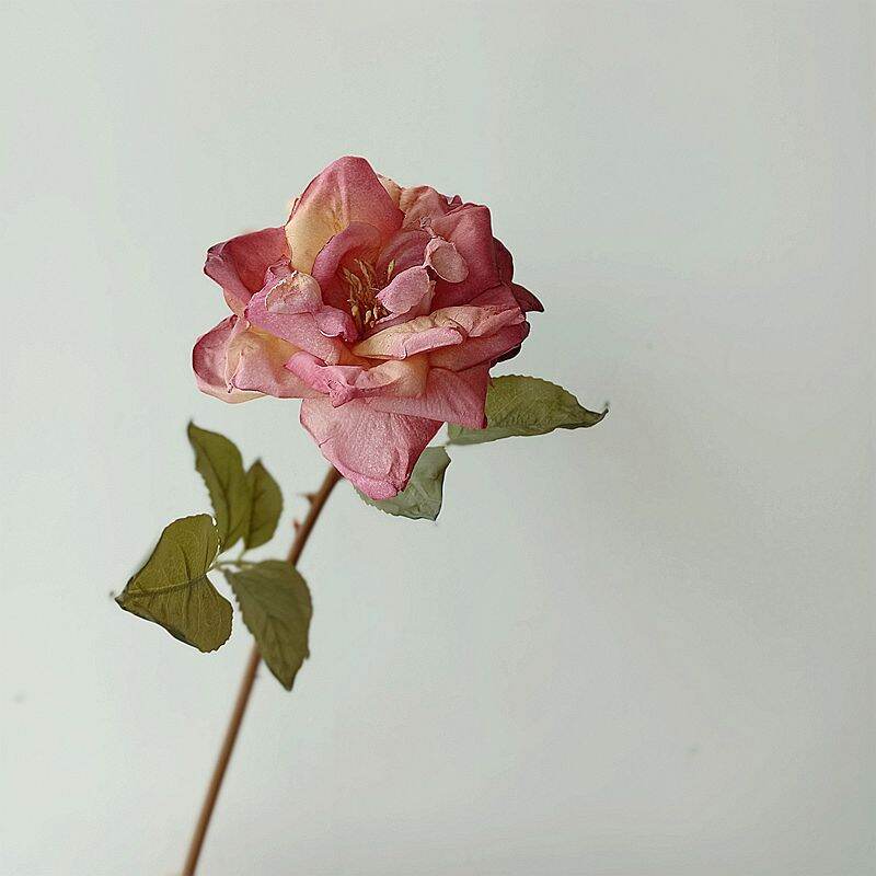 Rose Anna Fake Flower Single Stem Photography Props Vintage Oil Painting Style Artificial Dried Rose Soft Decoration Home Decor