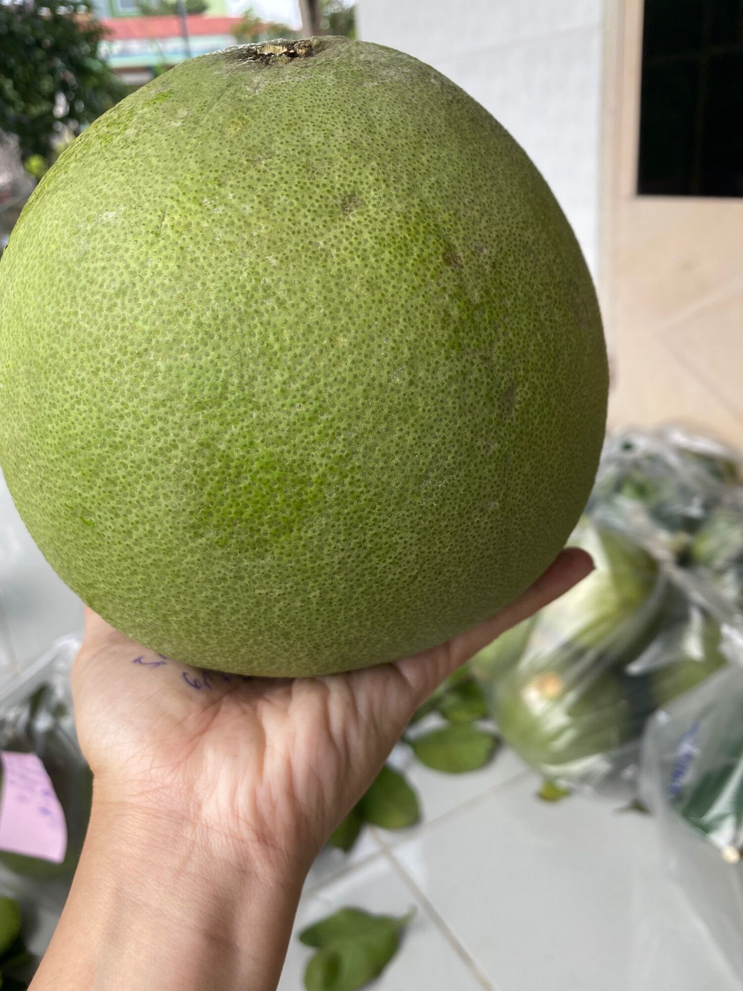 Bưởi da xanh bến tre loại 1