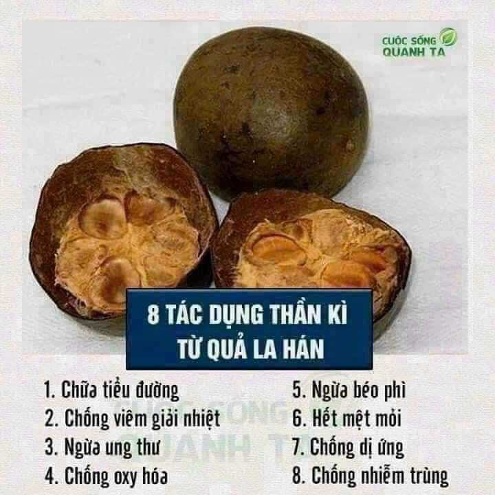 1 Quả la hán giải độc thanh mát