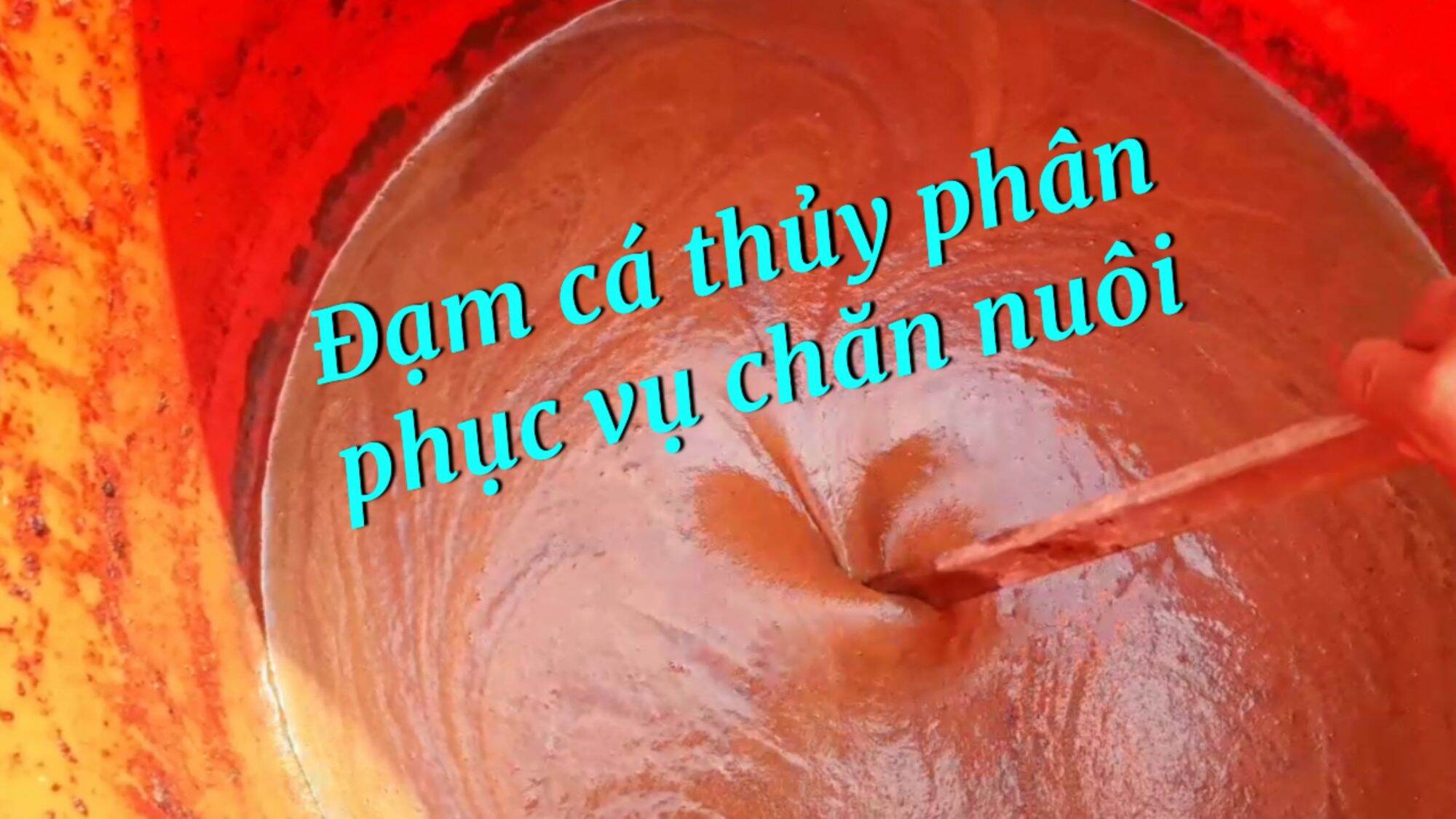Men vi sinh ủ đạm cá (nữa ký Men Phương Nam + nữa ký Enzyme Protease)