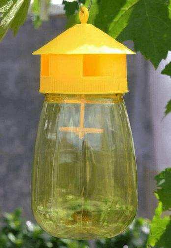 ĐÈN BẪY RUỒI VÀNG- 1 CHIẾC.