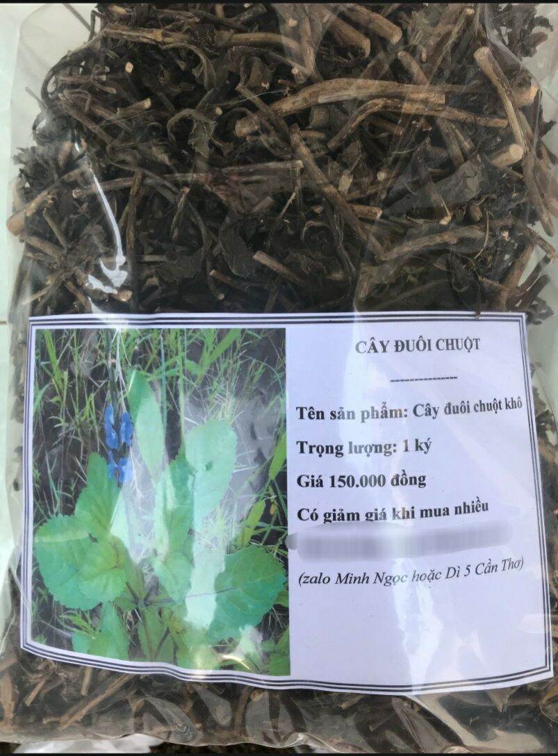 Cây đuôi chuột,1kg khô