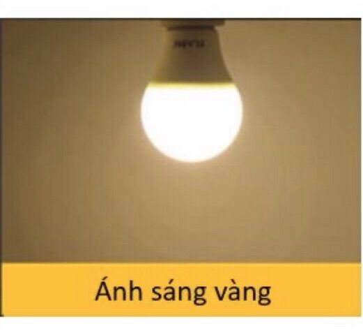 5 đèn led búp tròn 5W