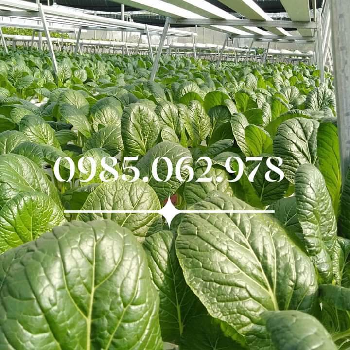 Muối Epsom nhập khẩu isarel 1kg