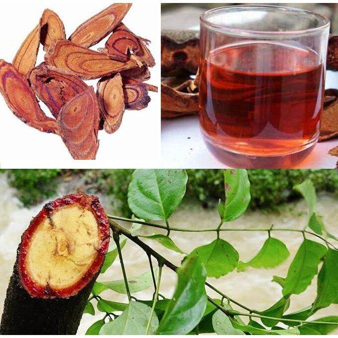 1kg cây cỏ máu tăng cân đủ vị.