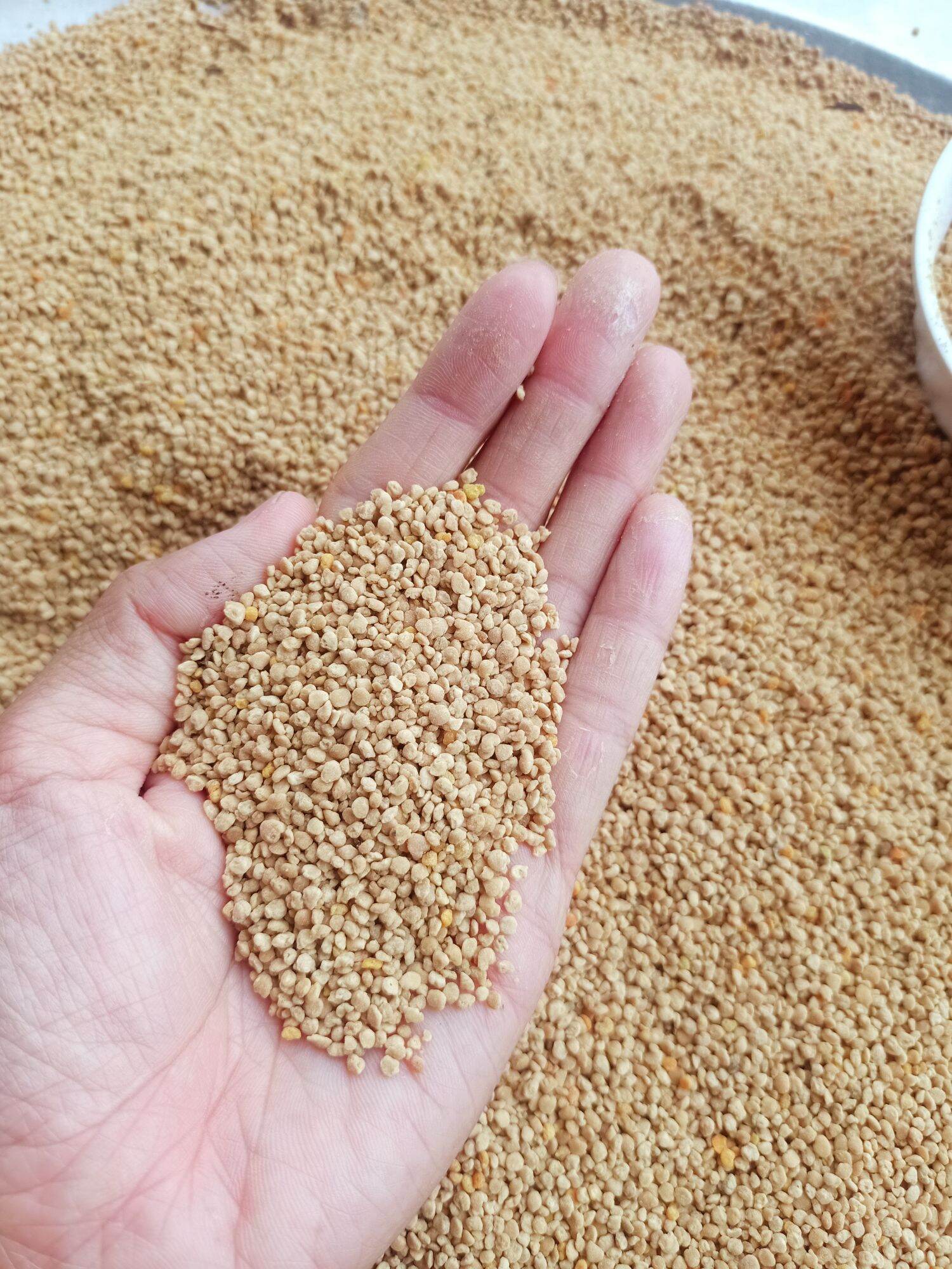 Phấn hoa mật ong hoa cà phê (1kg)