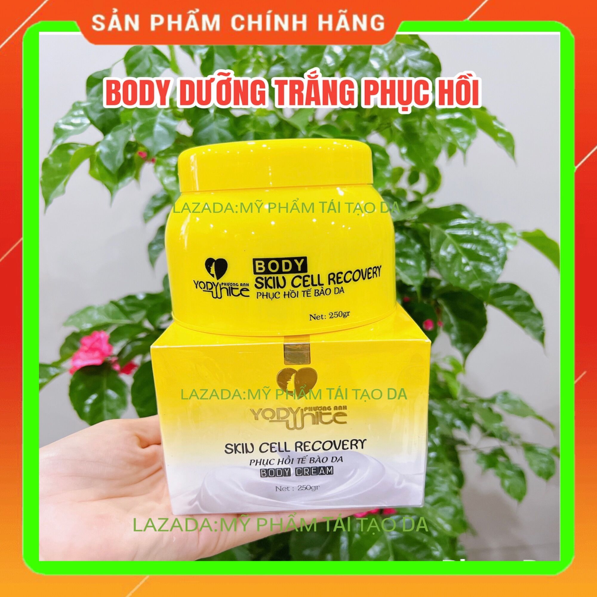 KEM BODY PHỤC HỒI SAU TÁI TẠO DA PHƯƠNG ANH