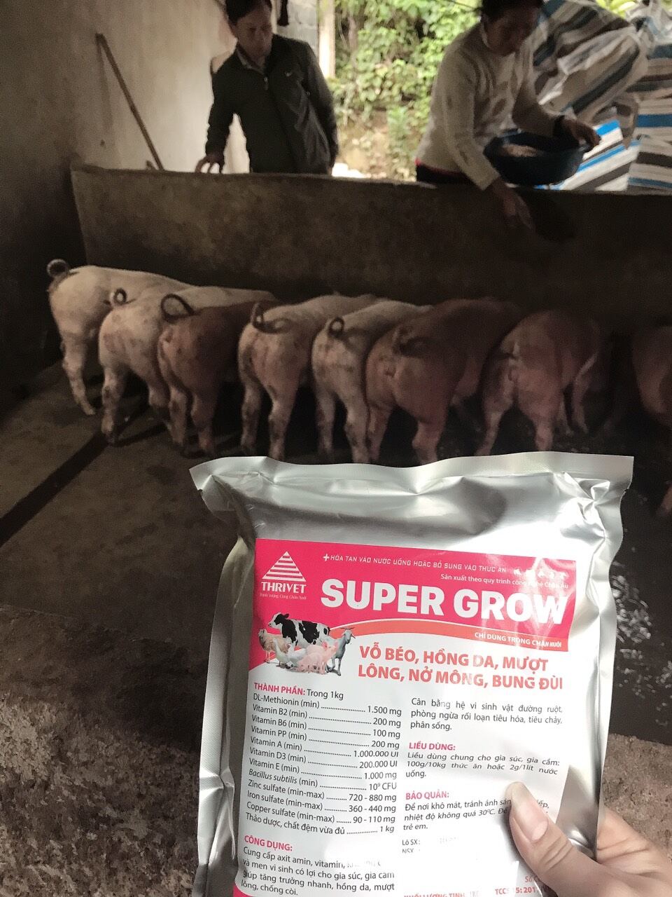 Vỗ Béo Gia Súc Gia Cầm Cao Cấp