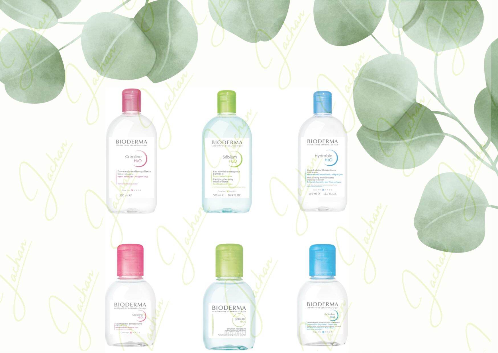 Tẩy trang Bioderma nội địa Pháp