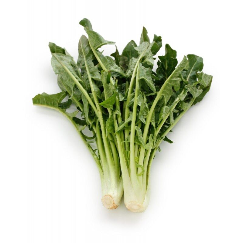 Hạt Giống Bồ Công Anh Chicory Xanh (543) 5gram