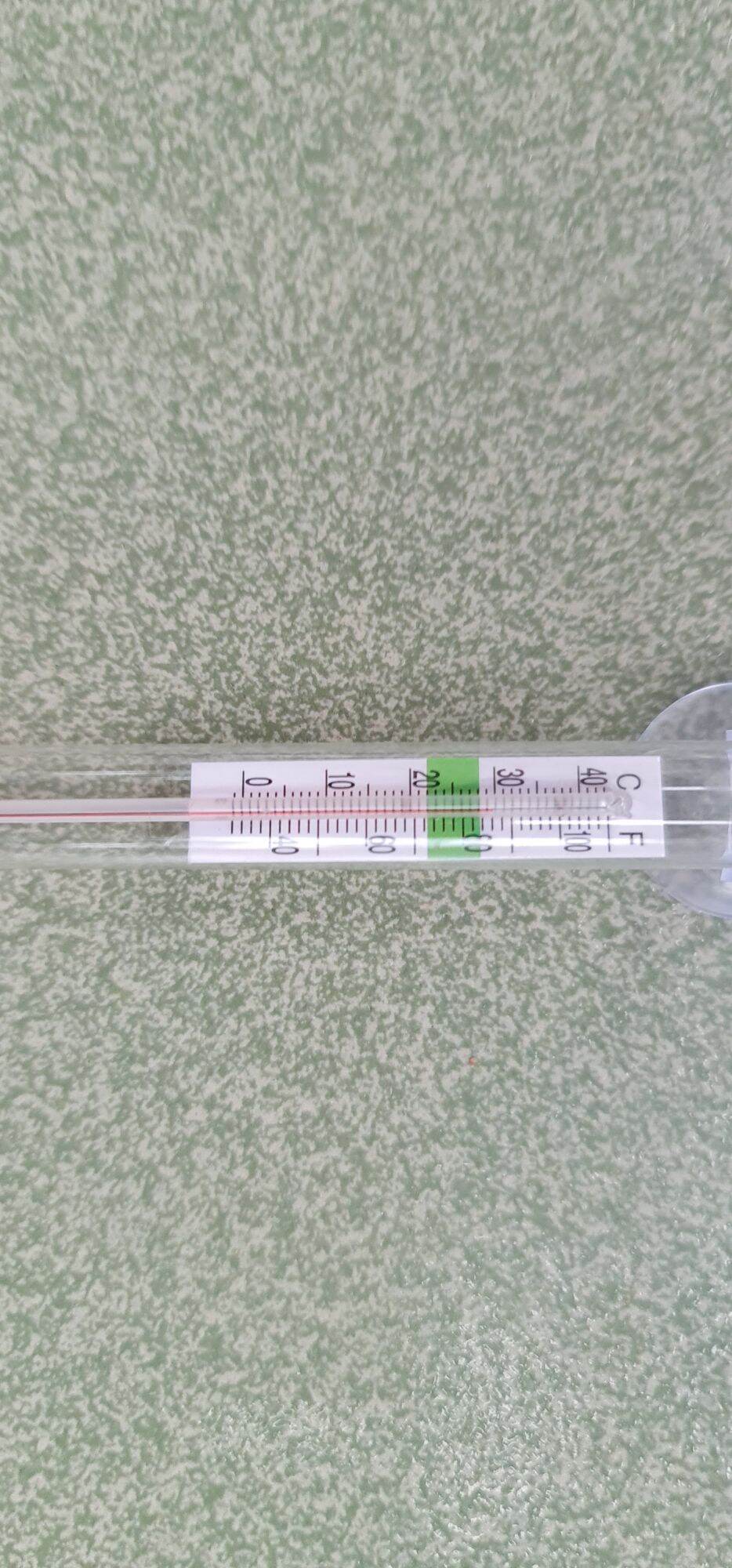 nhiệt kế thủy tinh dán bể cá | đo nhiệt độ hồ cá