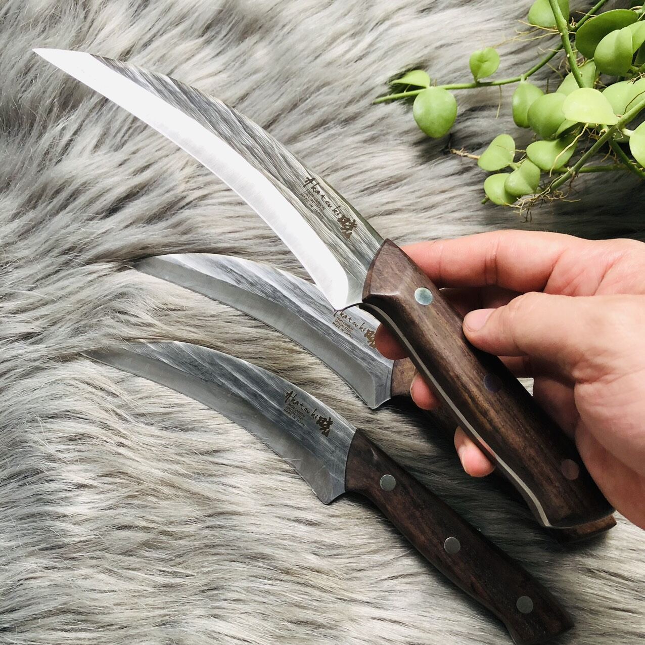 Dao khui sầu riêng, dao cắt trái cây Nhật