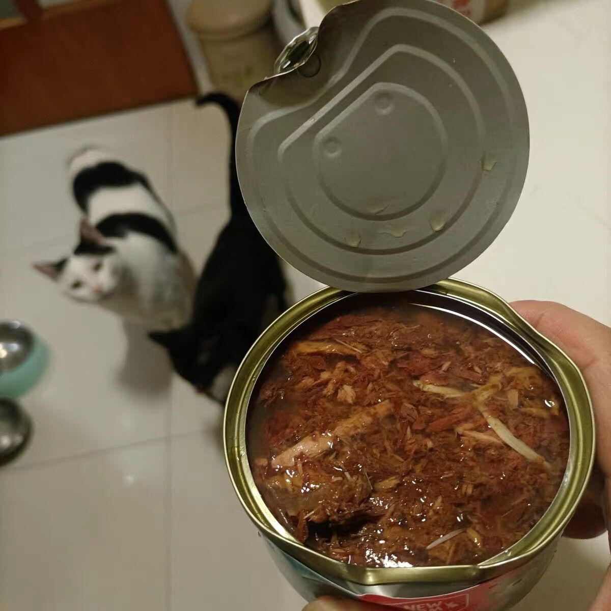 Pate cho mèo POROCA NEW 12 lon (170g/lon)