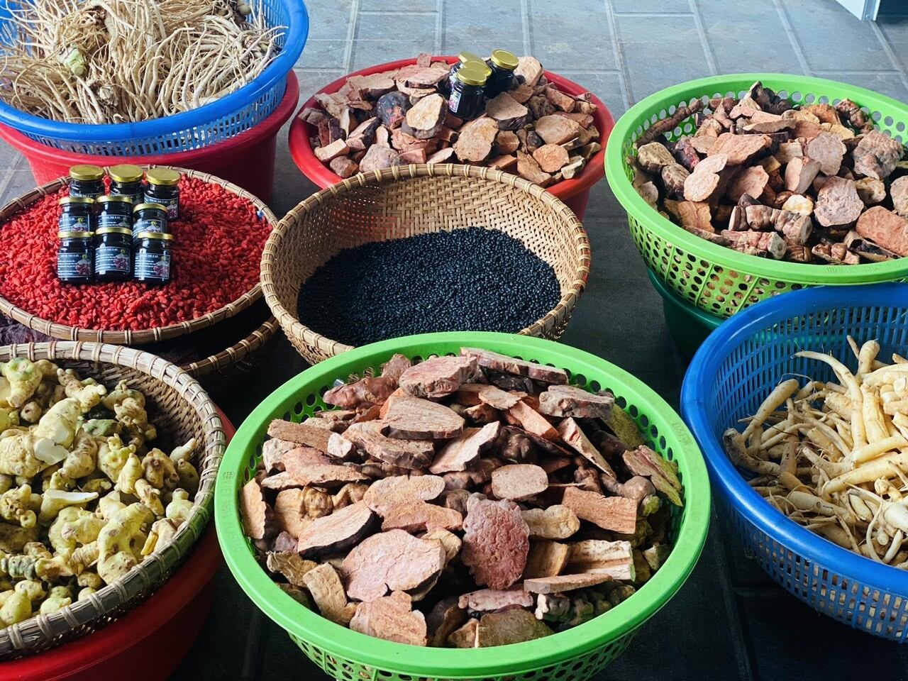 Tóc đen óng ả và khỏe mạnh với hà thủ ô...tây bắc