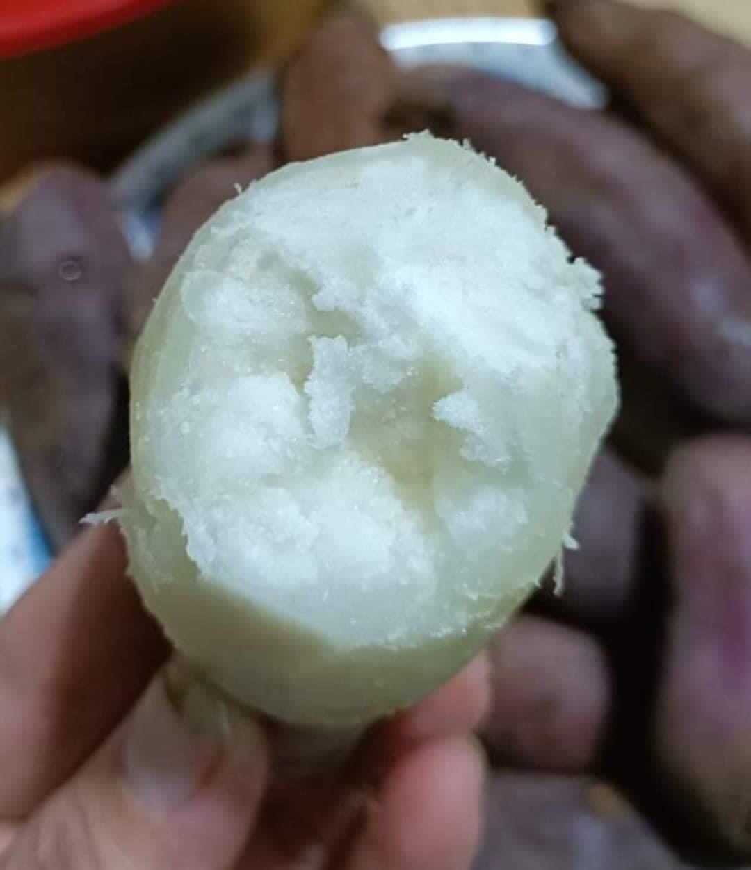 Combo 3kg Khoai Lang Campuchia (Khoai lang hồng đào)