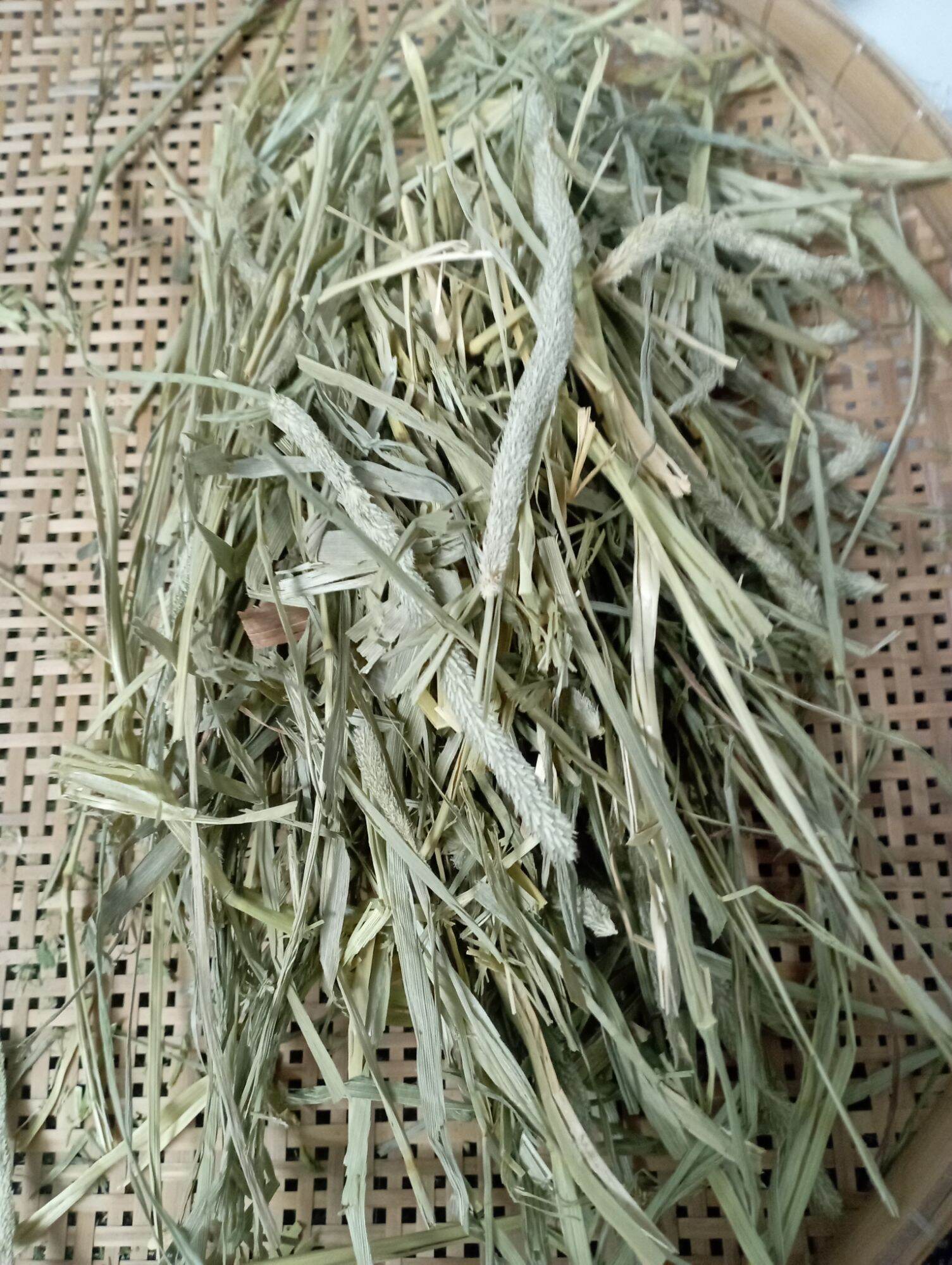 cỏ khô Timothy 1 kí