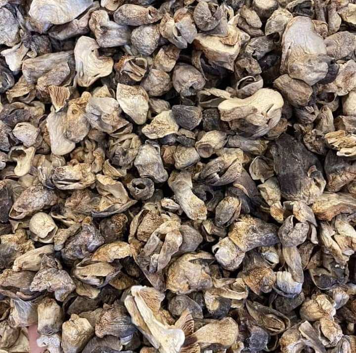 Nấm rơm búp khô 500g