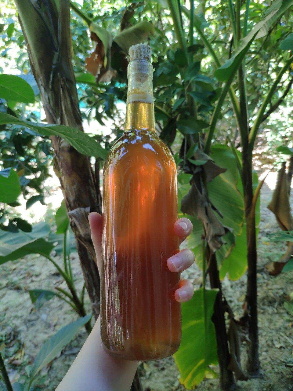 Mật ong rừng hương khê nguyên chất chai 750ml