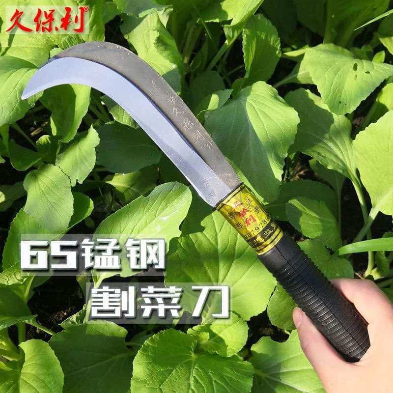 dao rửa dừa ba tấc