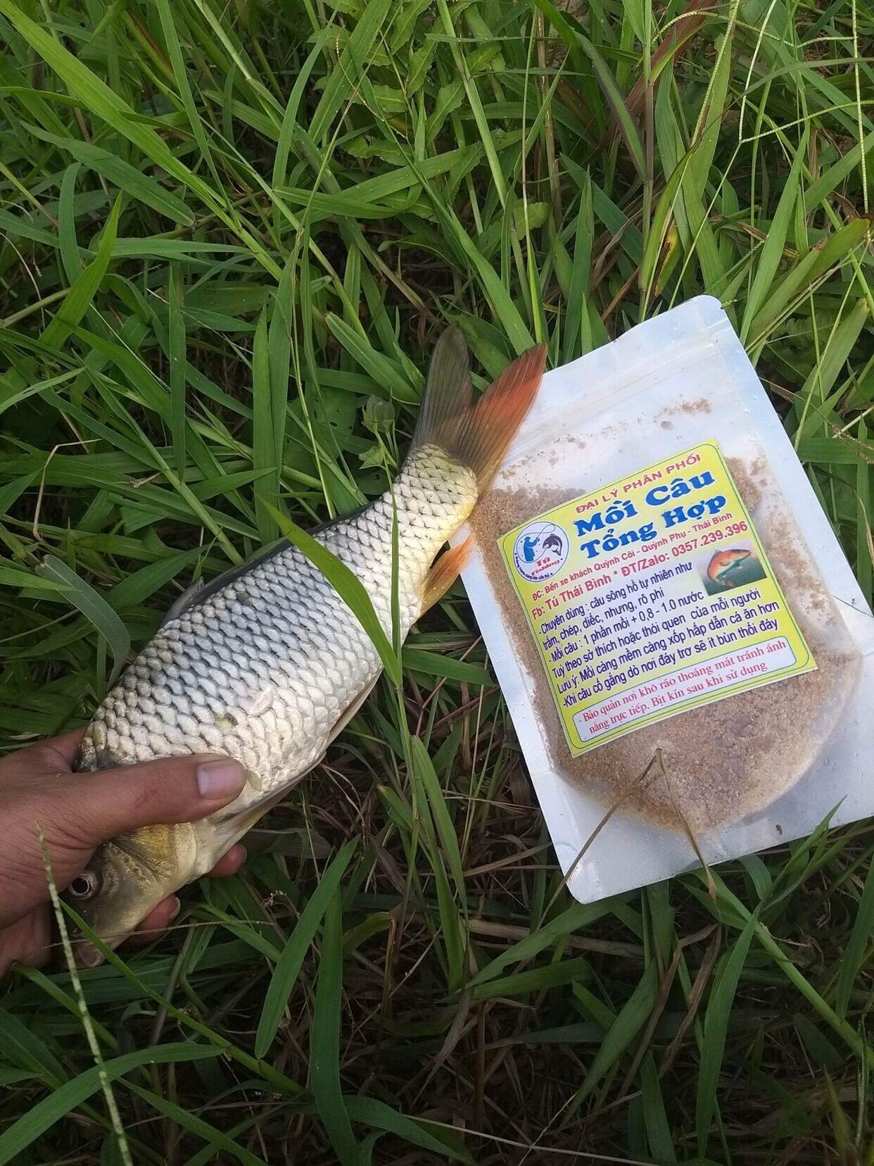 Mồi Câu Cá Tổng Hợp