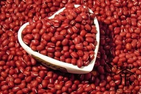 Đậu Đỏ Hữu Cơ 500gram cobadalat ( Đậu Đỏ Hạt Nhỏ)
