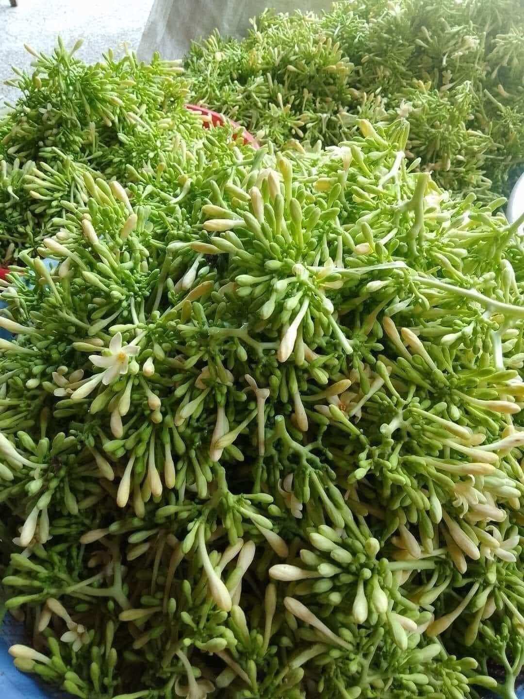 1kg hoa đủ đực tươi