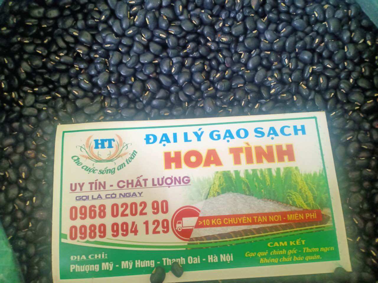 Hạt sen huế ( 1kg)