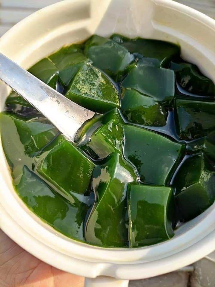 CÂY GIỐNG  SÂM LÔNG