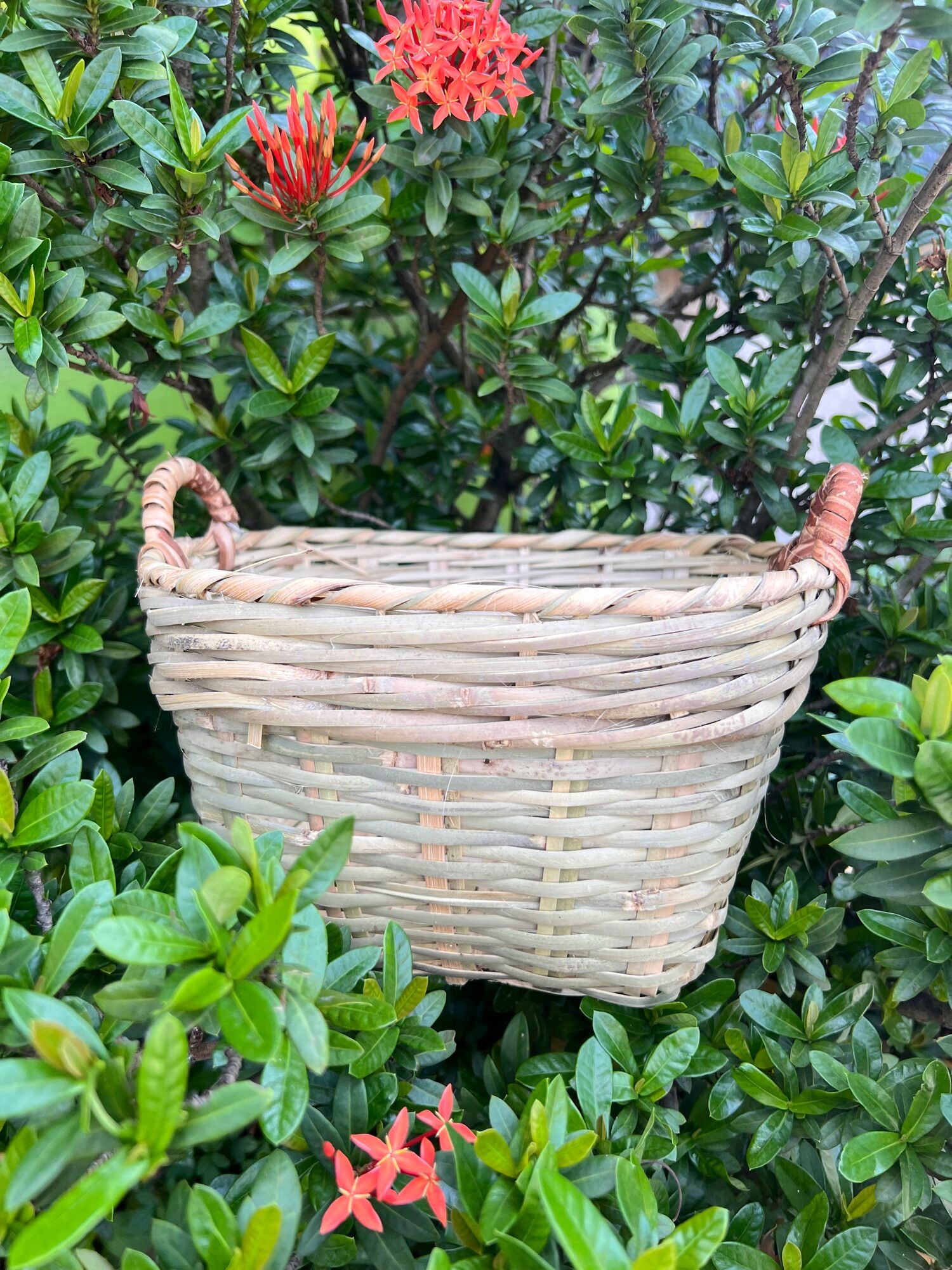 Rổ tre vuông cần xé tre quai mây